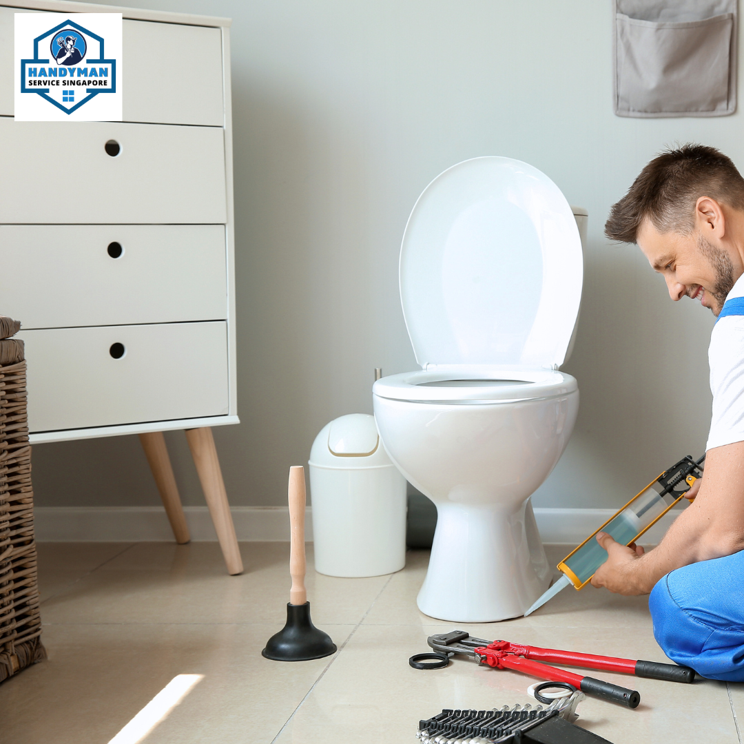 Professional Toilet Flash Repair and Replacement Services in Singapore ...